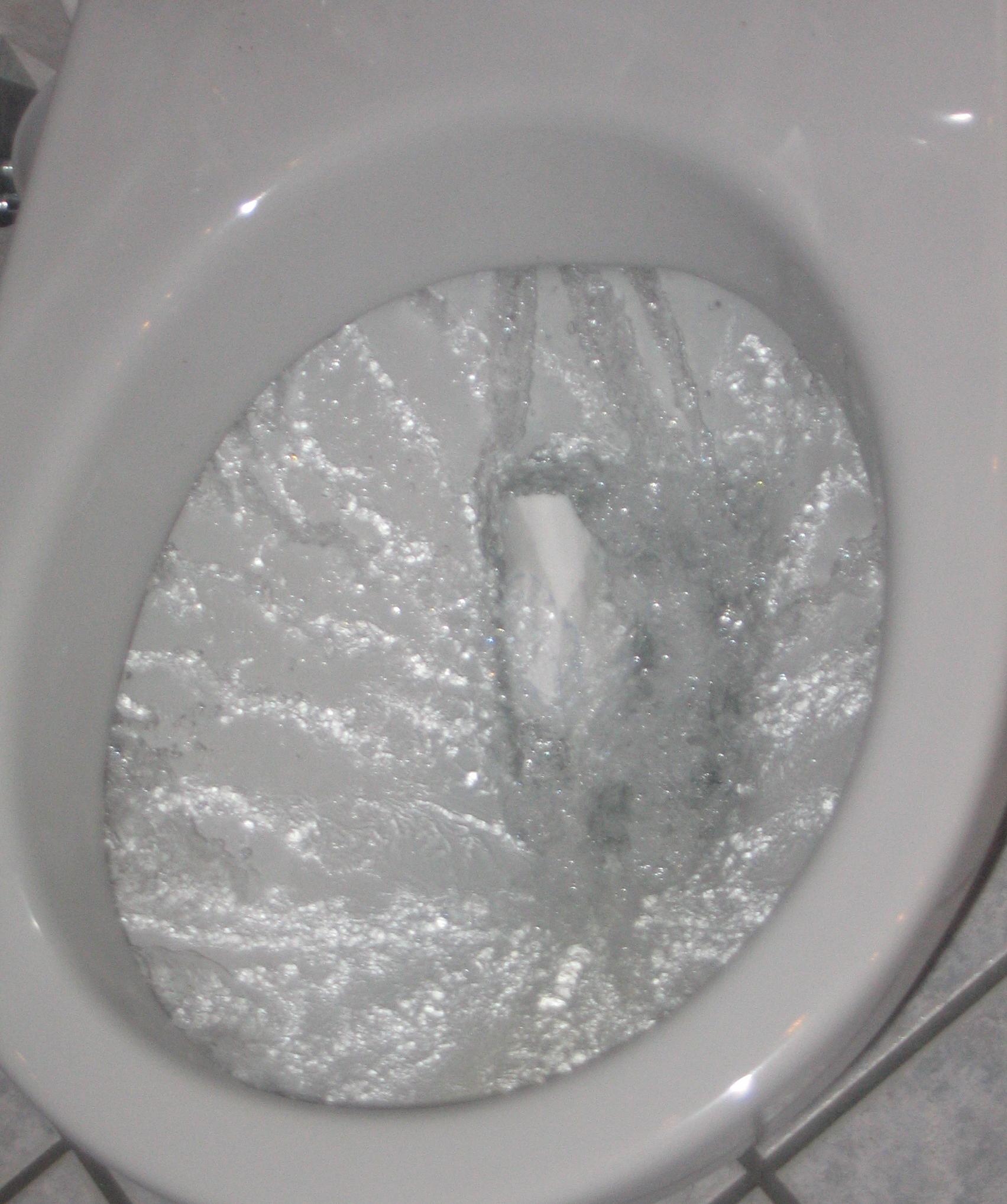 flushing_toilet